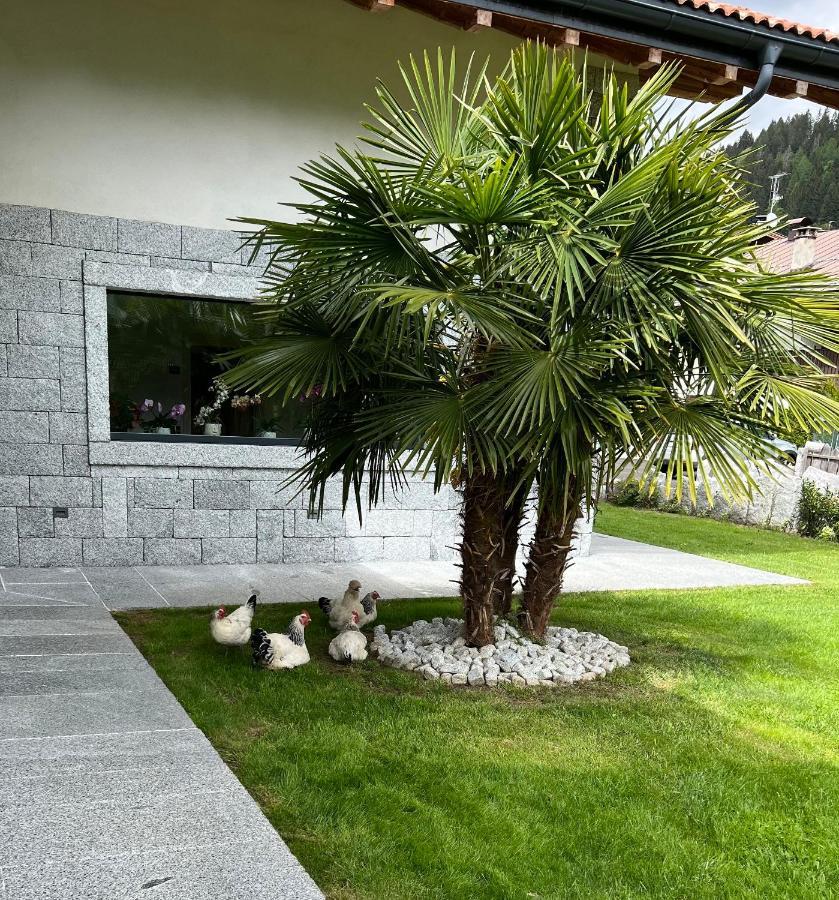 B&B Casa Il Sasso Pinzolo Eksteriør bilde